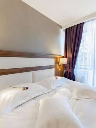Отель Hotel Miruna - New Belvedere Пояна-Брашов Двухместный номер Делюкс с 1 кроватью-1