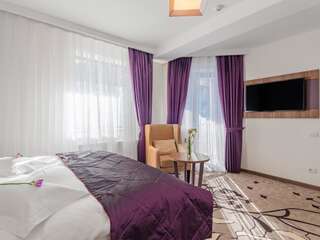Отель Hotel Miruna - New Belvedere Пояна-Брашов Двухместный номер Делюкс с 1 кроватью-4