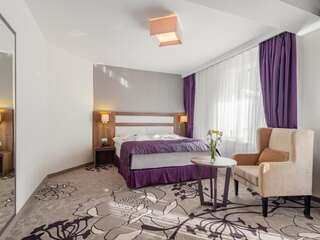 Отель Hotel Miruna - New Belvedere Пояна-Брашов Двухместный номер Делюкс с 1 кроватью-5