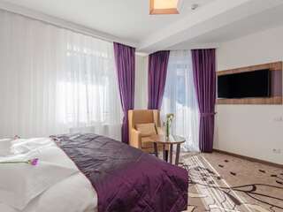 Отель Hotel Miruna - New Belvedere Пояна-Брашов Двухместный номер Делюкс с 1 кроватью-10